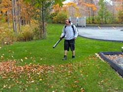 Fall Leaf Cleanup Service